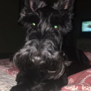 Meet your Posher, Kathy